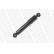 Amortisseur MONROE MAGNUM Axle F5088, Vignette 3