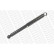 Amortisseur MONROE MAGNUM Axle T1253, Vignette 2