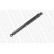 Amortisseur MONROE MAGNUM Axle T1260, Vignette 3