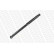 Amortisseur MONROE MAGNUM Axle T1360, Vignette 3