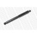 Amortisseur MONROE MAGNUM Axle T5184, Vignette 2