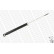 Amortisseur MONROE ORIGINAL (Gas Technology) 23910, Vignette 3