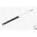 Amortisseur MONROE ORIGINAL (Gas Technology) 23910, Vignette 4