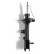 Amortisseur MONROE ORIGINAL (Gas Technology) G16248, Vignette 3