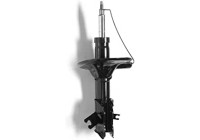 Amortisseur MONROE ORIGINAL (Gas Technology) G16769