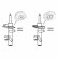 Amortisseur MONROE ORIGINAL (Gas Technology) G8809