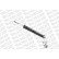 Amortisseur OESpectrum ?Premium? 376020SP Monroe, Vignette 6