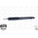 Amortisseur OESpectrum 