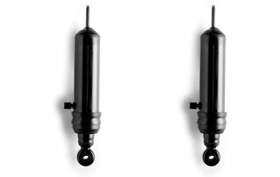 Amortisseur RIDE-LEVELER LA361 Monroe