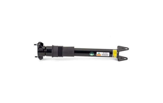 Amortisseur SK-3218 Arnott, Image 4