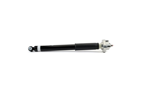 Amortisseur SK-3384 Arnott, Image 4