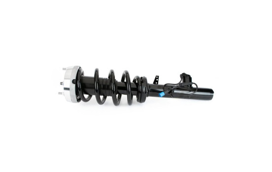 Amortisseur SK-3605 Arnott, Image 4