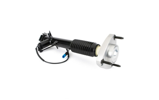 Amortisseur SK-3816 Arnott