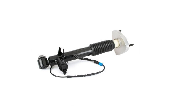 Amortisseur SK-3816 Arnott, Image 2