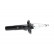 Amortisseur SSA-10012 Kavo parts, Vignette 2
