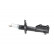 Amortisseur SSA-10041 Kavo parts, Vignette 4