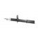 Amortisseur SSA-10079 Kavo parts, Vignette 4