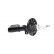 Amortisseur SSA-10080 Kavo parts, Vignette 2