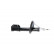Amortisseur SSA-10149 Kavo parts, Vignette 2
