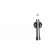 Amortisseur SSA-10241 Kavo parts