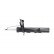 Amortisseur SSA-10366 Kavo parts, Vignette 4