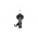 Amortisseur SSA-10381 Kavo parts