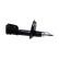 Amortisseur SSA-10389 Kavo parts, Vignette 2