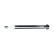 Amortisseur SSA-10761 Kavo parts, Vignette 4