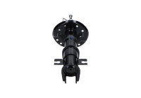 Amortisseur SSA-10829 Kavo parts