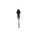 Amortisseur SSA-11149 Kavo parts, Vignette 3