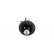 Amortisseur SSA-3043 Kavo parts, Vignette 3