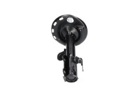 Amortisseur SSA-9133 Kavo parts
