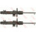 Amortisseur TRW TWIN JGM1082T, Vignette 2