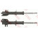 Amortisseur TRW TWIN JGM1089T, Vignette 2