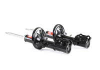 Amortisseur TRW TWIN JGM1191T