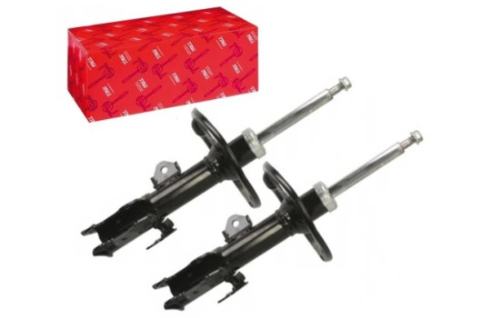 Amortisseur TRW TWIN JGM1333T