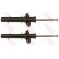 Amortisseur TRW TWIN JGM209T, Vignette 2