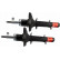 Amortisseur TRW TWIN JGM209T, Vignette 3
