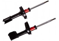 Amortisseur TRW TWIN JGM243T