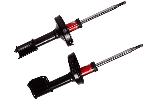 Amortisseur TRW TWIN JGM243T