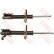 Amortisseur TRW TWIN JGM2468T, Vignette 2