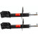 Amortisseur TRW TWIN JGM271T, Vignette 2