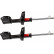 Amortisseur TRW TWIN JGM287T, Vignette 2