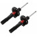 Amortisseur TRW TWIN JGM306T