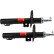 Amortisseur TRW TWIN JGM306T, Vignette 2