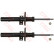 Amortisseur TRW TWIN JGM307T