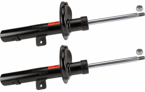 Amortisseur TRW TWIN JGM3901T, Image 2