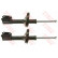 Amortisseur TRW TWIN JGM654T