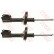 Amortisseur TRW TWIN JGM654T, Vignette 2