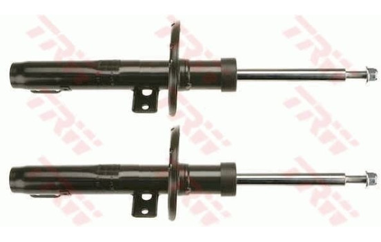 Amortisseur TRW TWIN JGM765T, Image 2